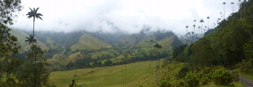The Valle de Cocora