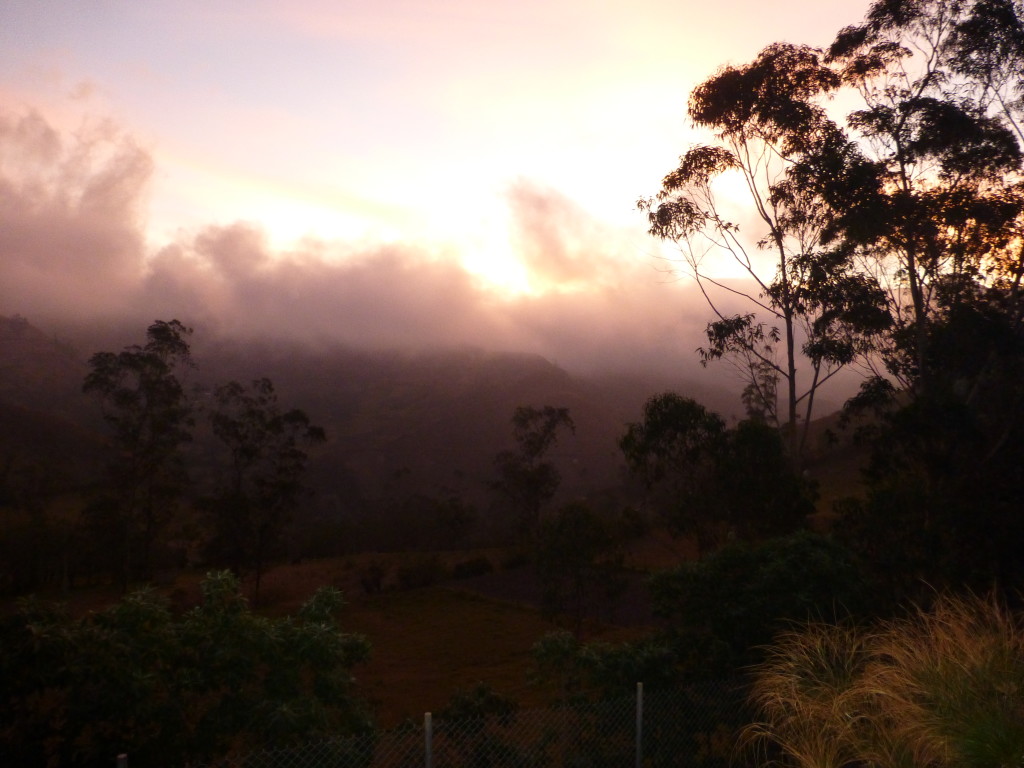 Sunset at Llulu Llama
