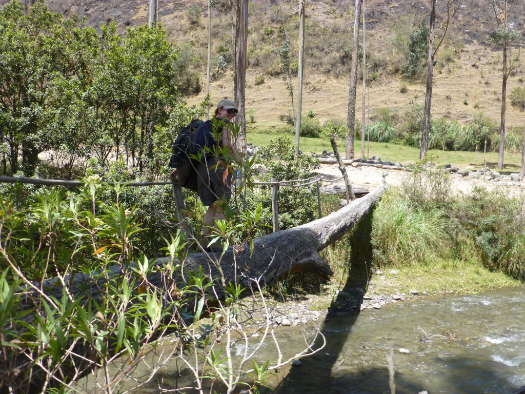 Alex crosses a river on the second day