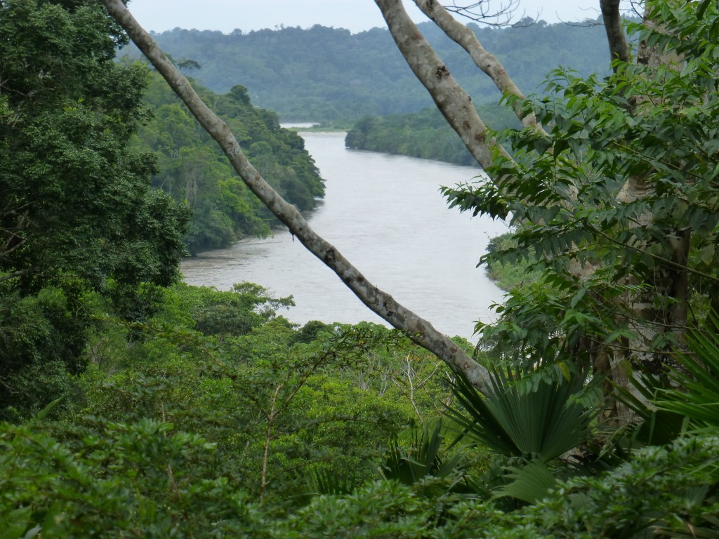 The view from our Cabaña