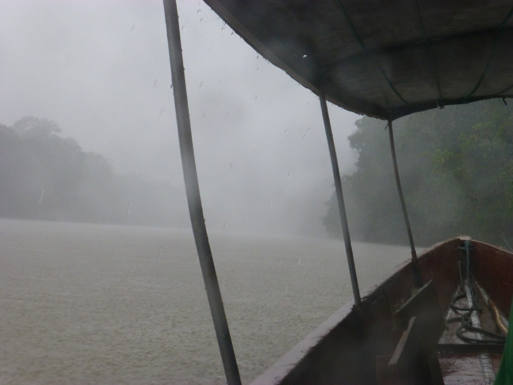 Cruising in the rain