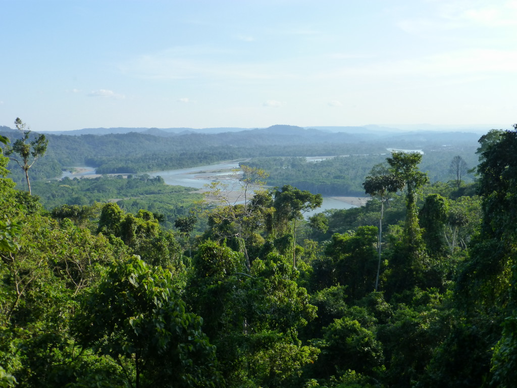 The view of the Rio Napo from a hill in the jungle