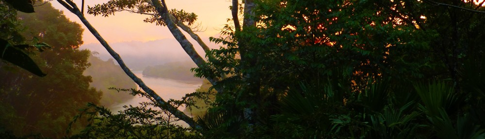 Snakes, Spiders & Spanish in the Amazon
