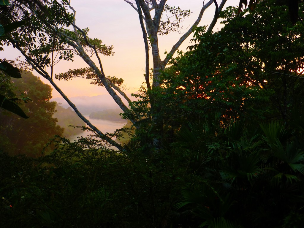 Sunrise in the jungle