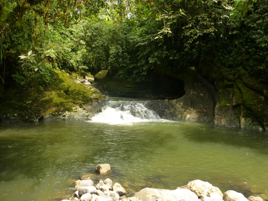 Natural bathing pools