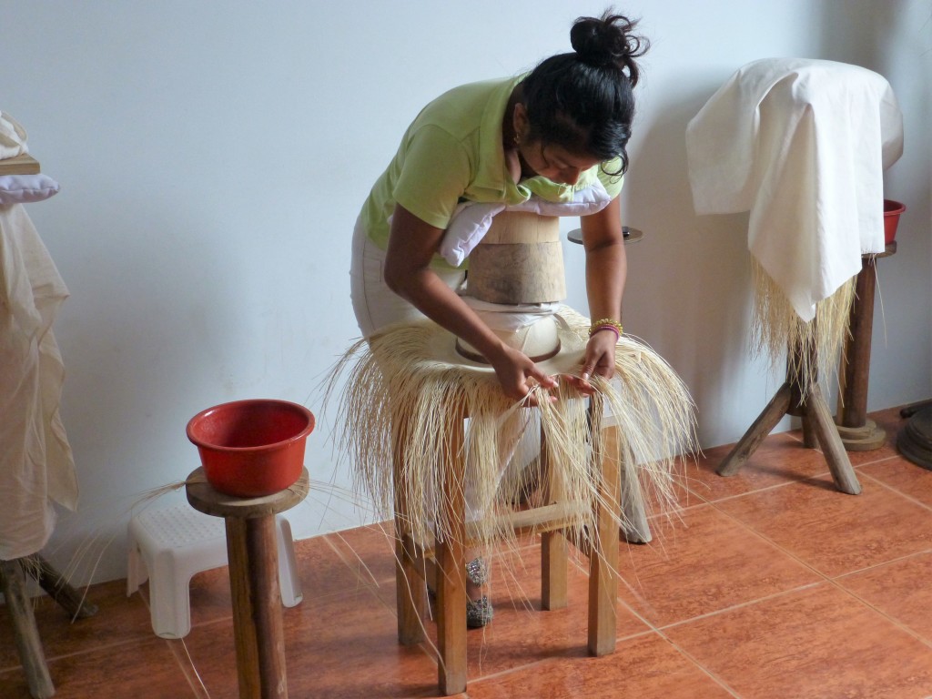 An Apprentice Panama Hat Weaver