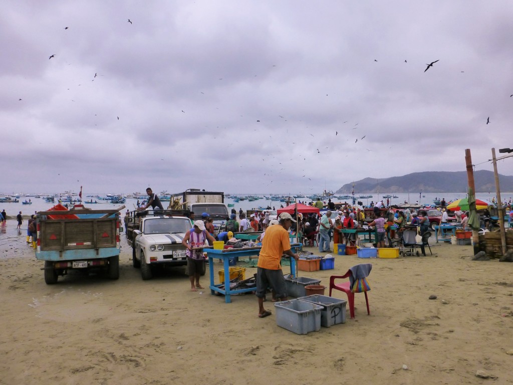The Harbour at Puerto Lopez