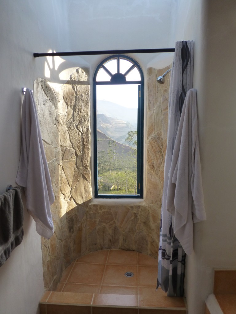 A shower with a view, Llulu Llama