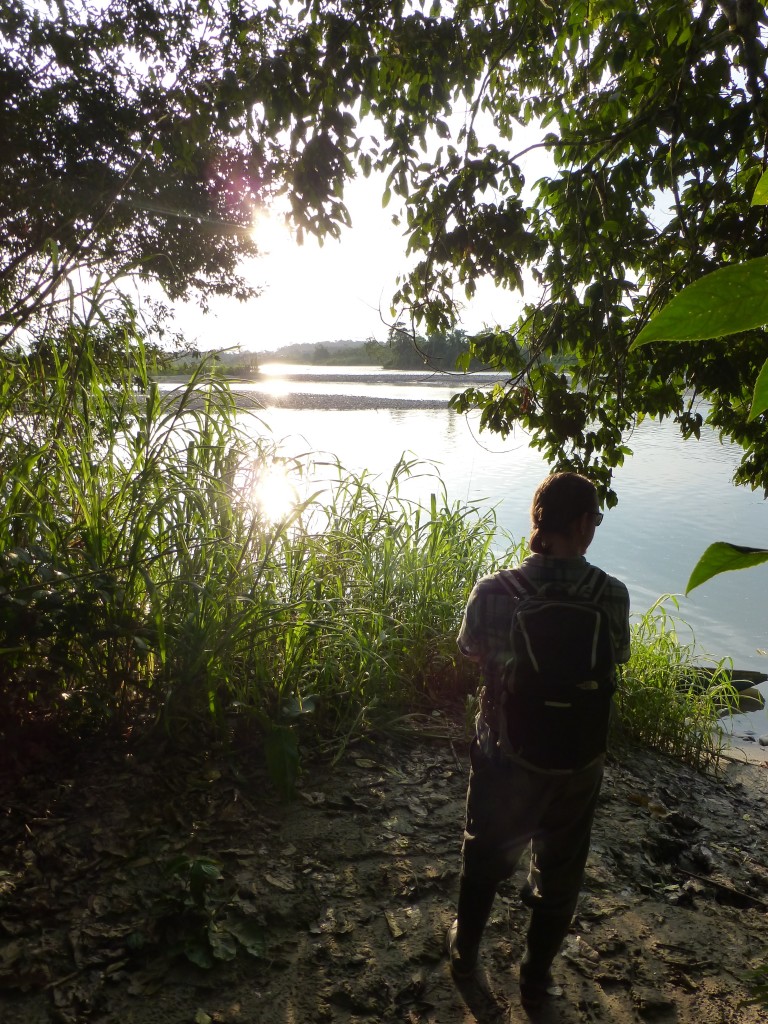 Chris watching the sun set over the Rio Napo