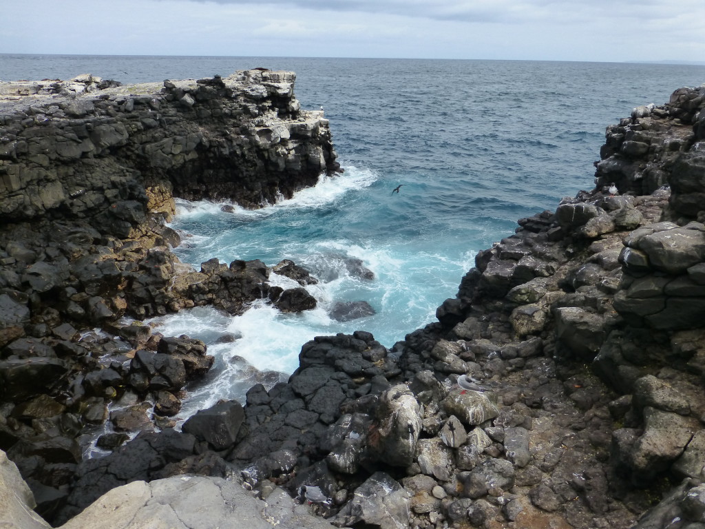 View over a rocky shore