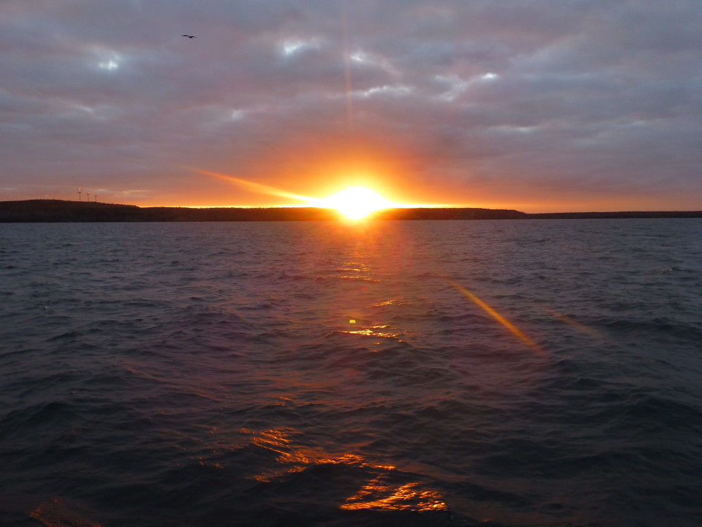 A beautiful sunset from the boat