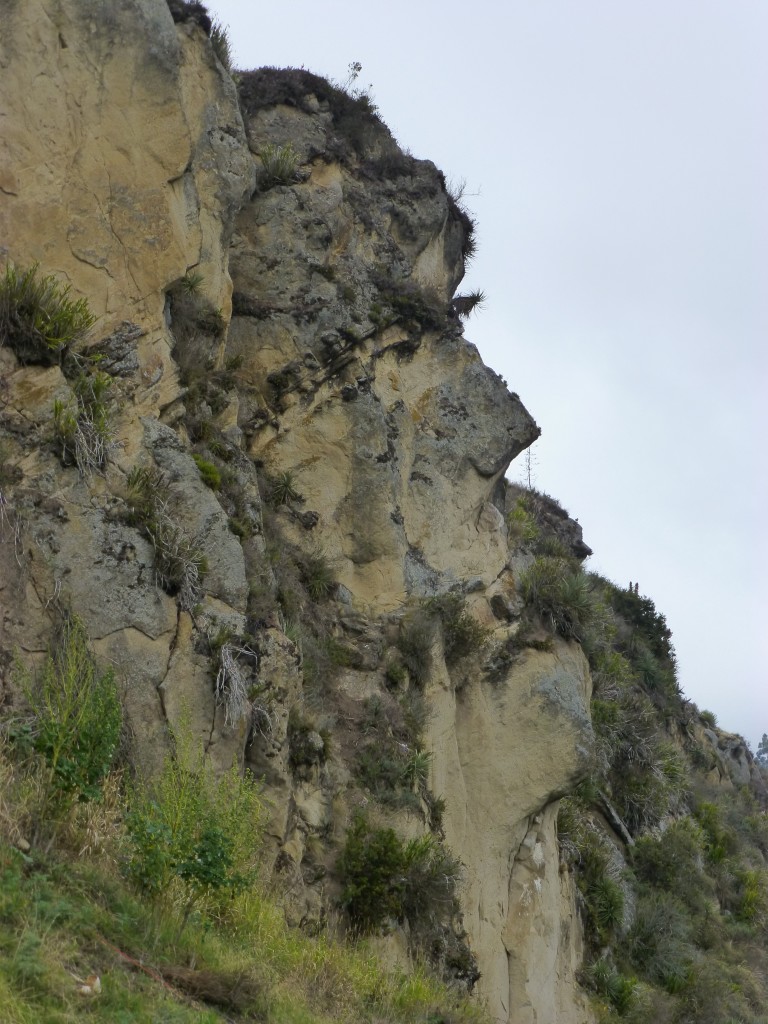 Inca face in the rock at Ingapirca