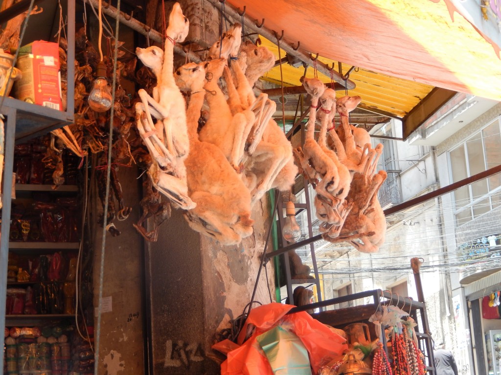 Llama foetuses in the Witches Market, La Paz