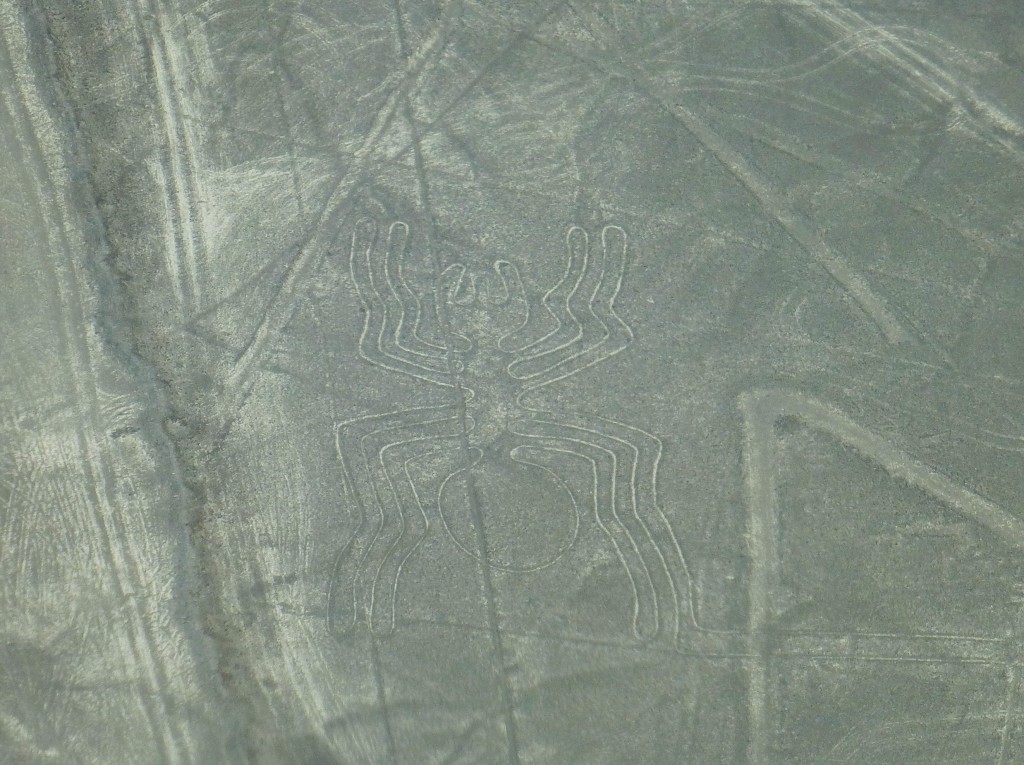 The Spider Nazca Line