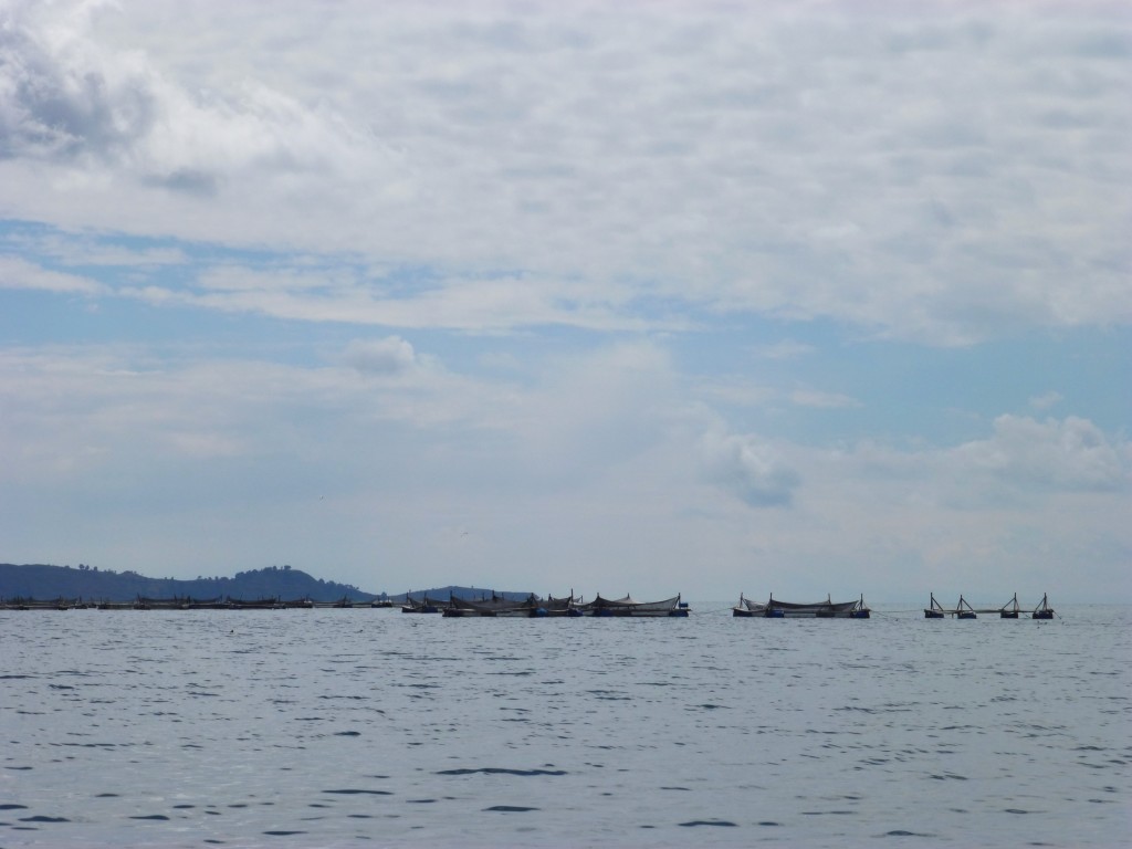 Fishing nets on Lake Titicaca