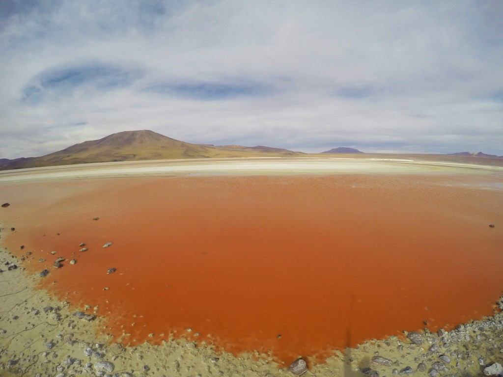 Laguna Colorada (The Red Lake)