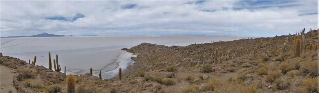 View from Fish Island (Inca Huasi)