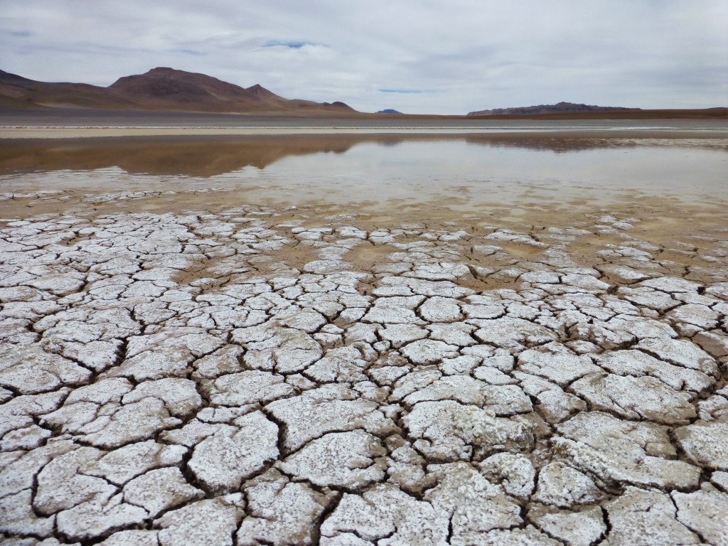 Mud flats in a salt lagoon