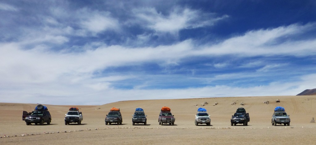 A line up of tourist vehicles