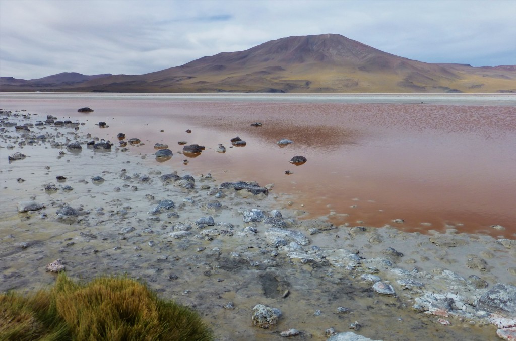 Laguna Colorada (the red lake)