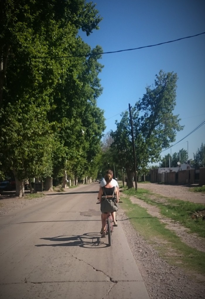 Exploring Mendoza's best vineyards by bicycle