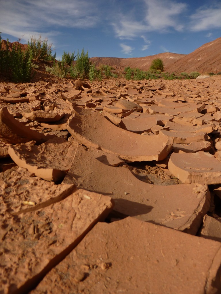Baked dry mud in a valley outside San Pedro de Atacama