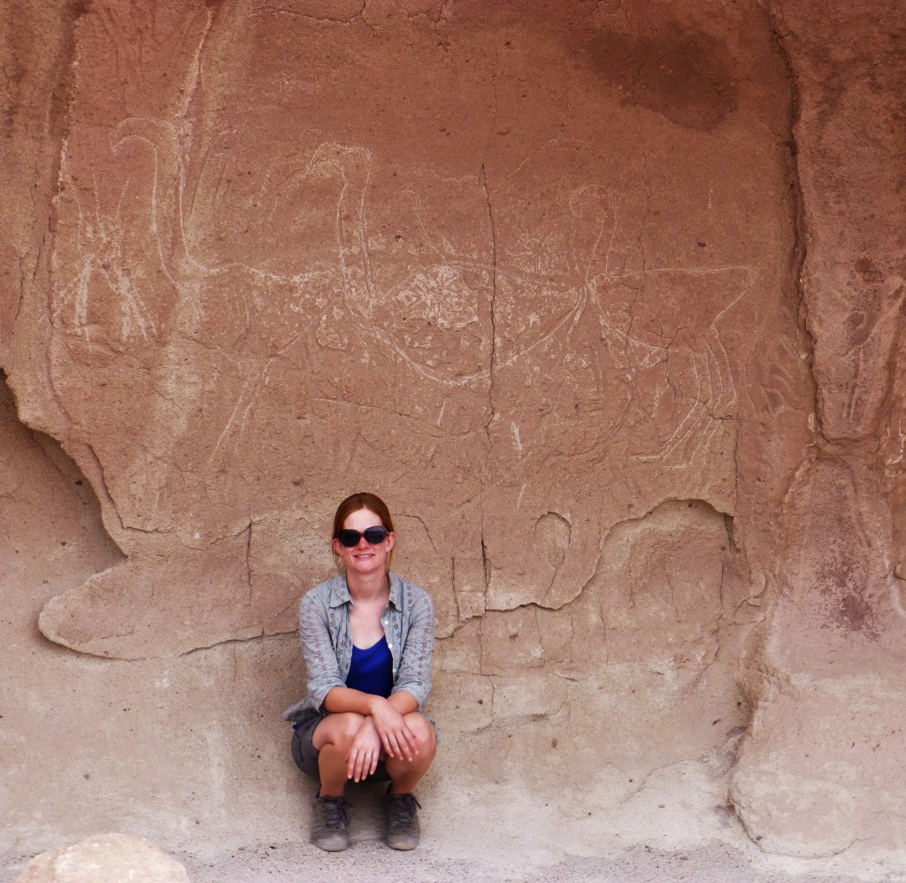 Flamingo petroglyphs