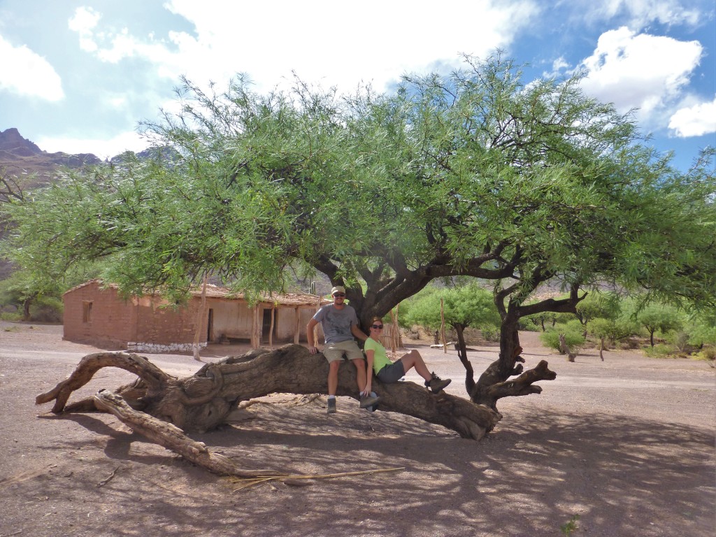 Finding shade by Laguna de Brealito