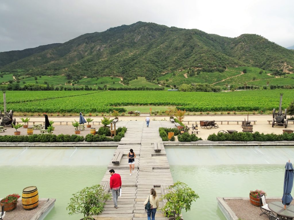 Stylish vineyard experience at Montes