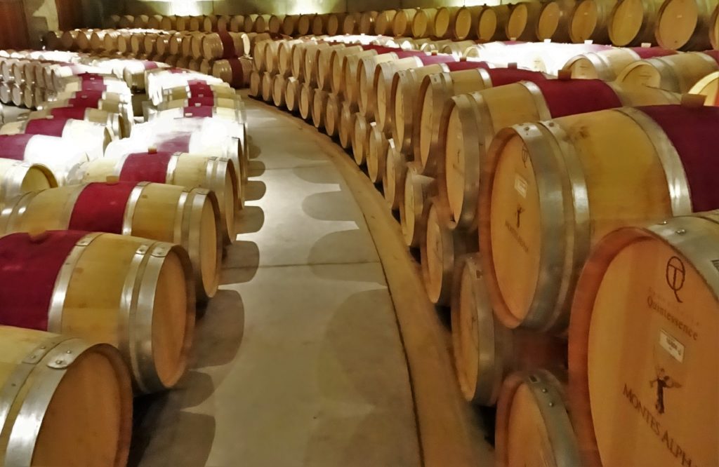 Modern cellar at Montes vineyard