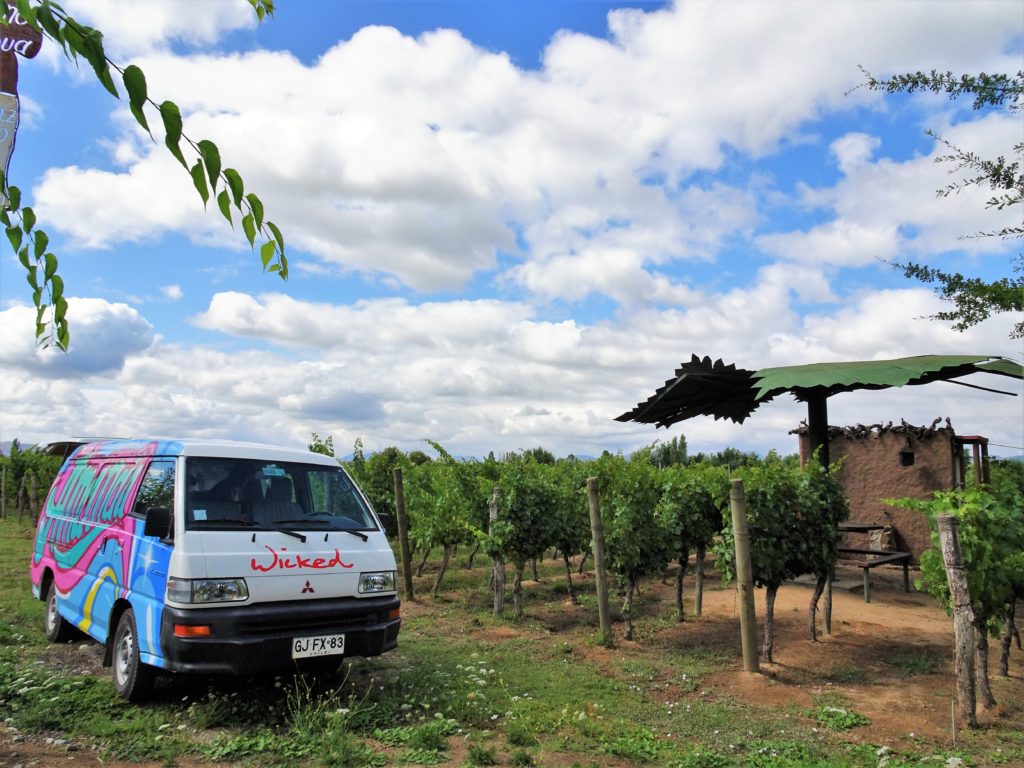 Our vineyard camping spot