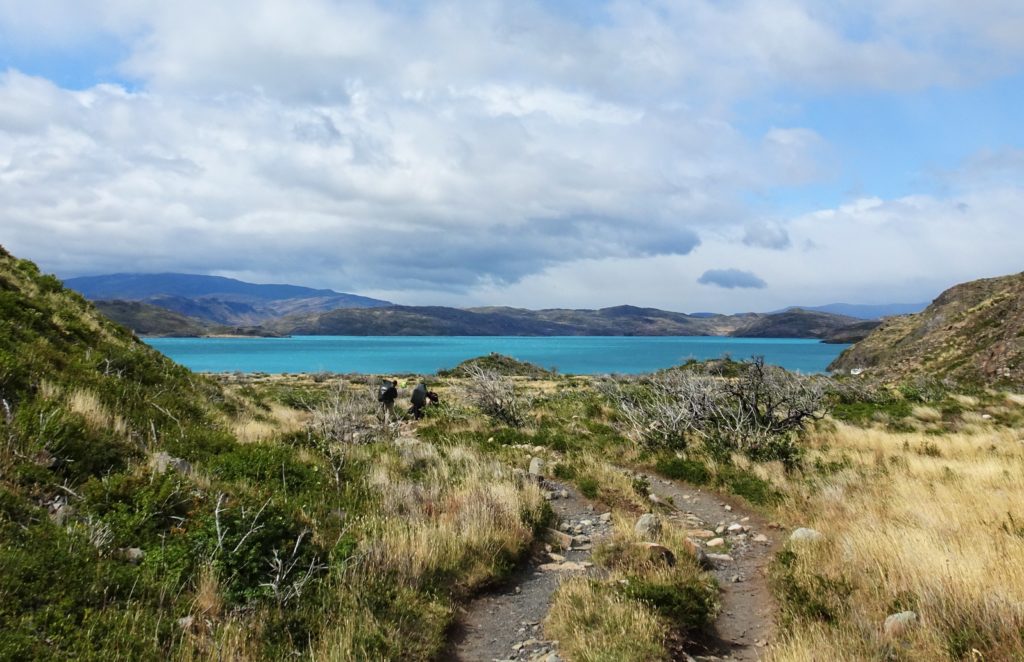 The view over Lago Pehoé