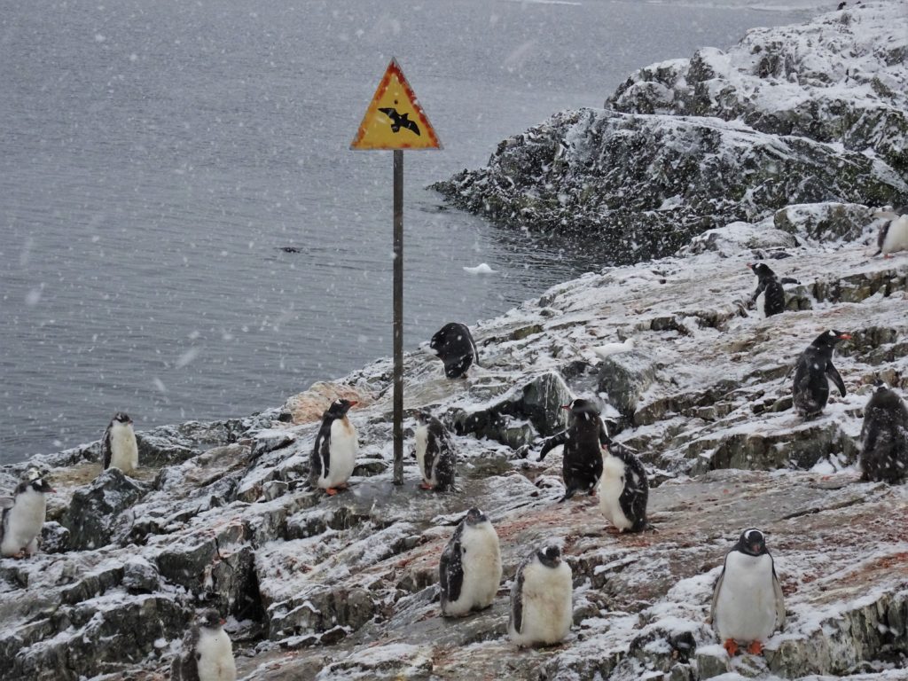 British humour still in place on the shore at Vernadsky
