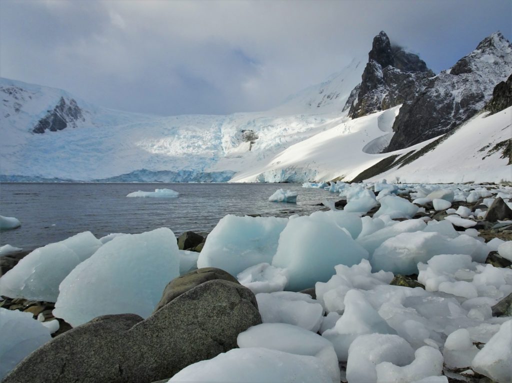 Icebergs washed up in Orne harbour