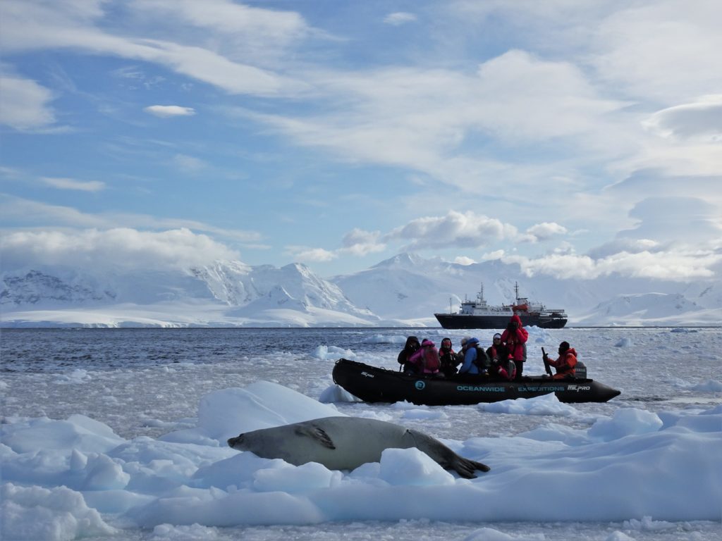 Zodiac wildlife spotting through the ice