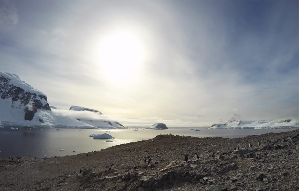 Looking out over the Antarctic peninsula