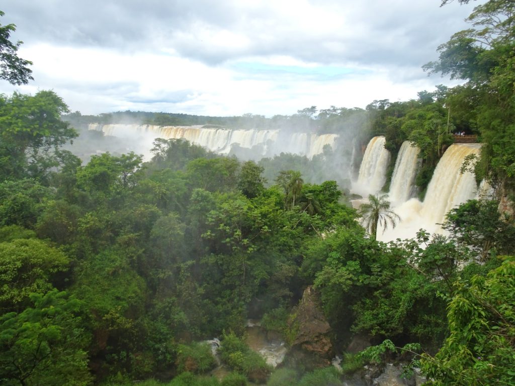 Lush jungle around the falls