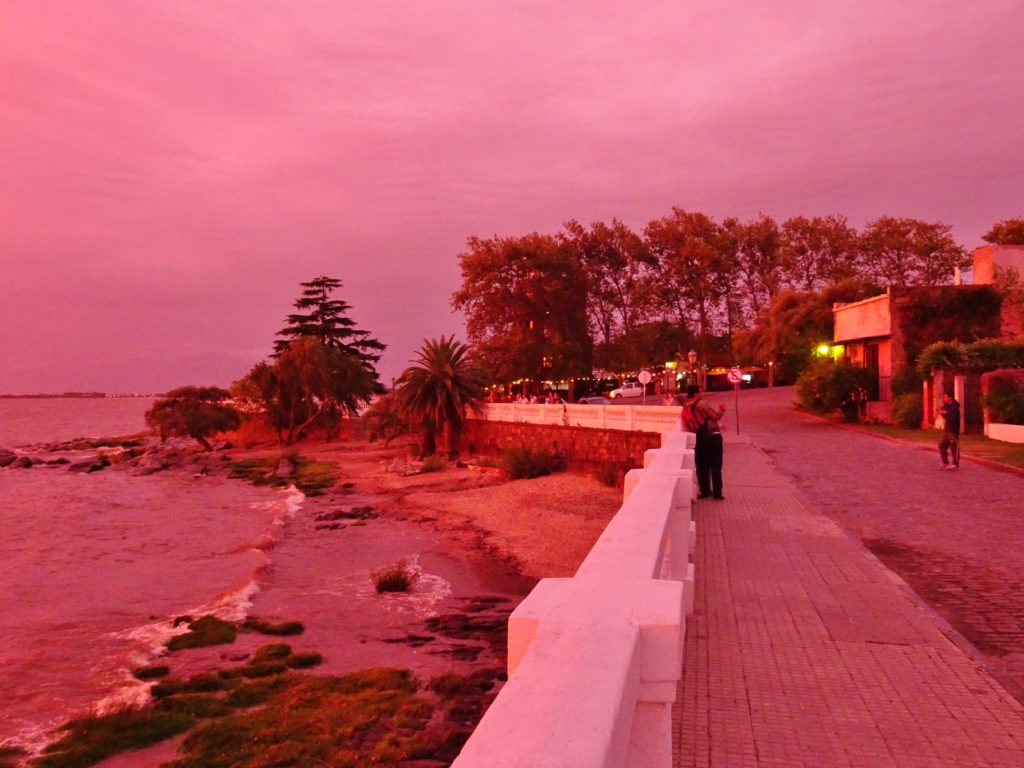 Colonia in the sunset