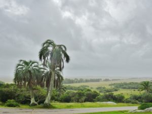 Cloudy skies looking over the fields of Uruguay