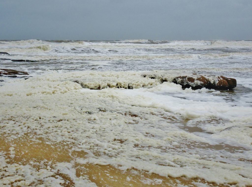 Amazing foam blowing in from the sea