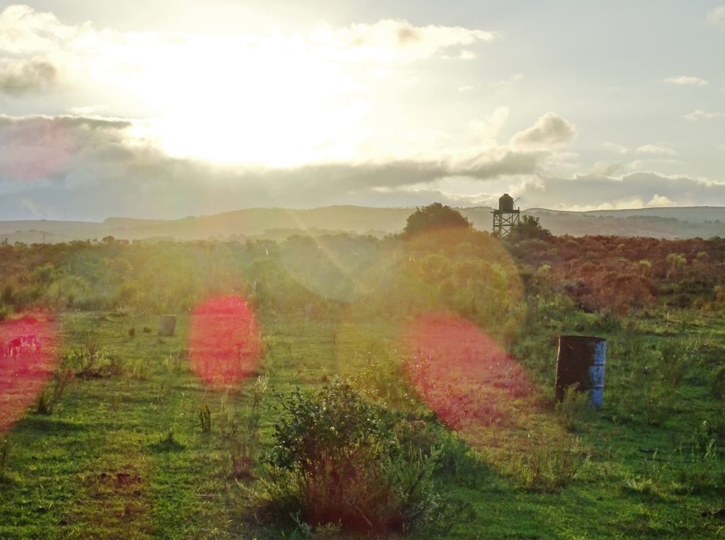 Sunset at Caballos de Luz