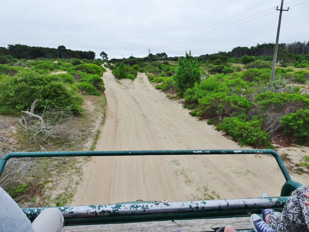 The drive over the dunes