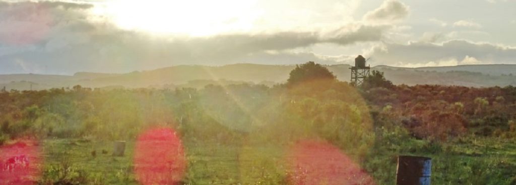 Peaceful countryside around Caballos de Luz